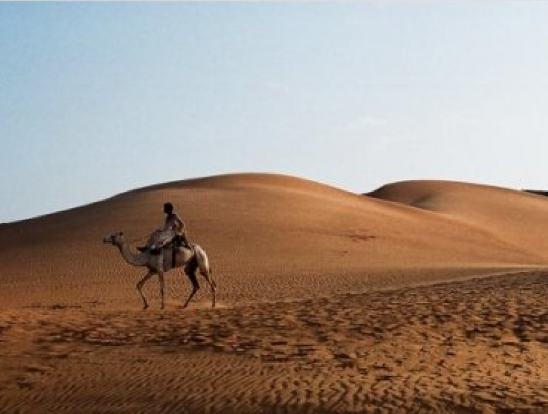 Pfizer Award – Sudan – Cameraman: Dave Depares