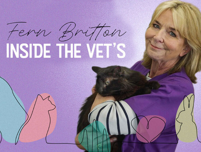 Fern Britton: Inside the Vet’s – Editor: Dave Depares